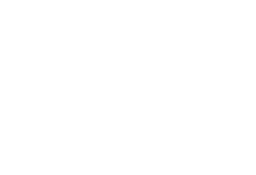MobulIa Marin Faye