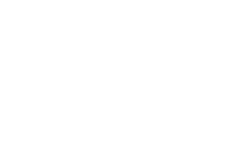 Gearchronicle Toki